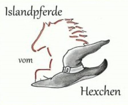 Islandpferde vom Hexchen